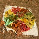 신성초등학교 이미지