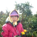 선달농장 Daum카페