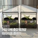 신라원예 | 기업 단체 테라리움출강 카카오 회사 워크샵 강남