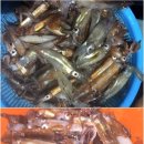 구산면562 이미지