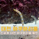 대전아쿠아리움 | 대전 성심당만 가기 아쉽다면? 대전 아쿠아리움 할인 입장권 후기