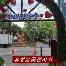 2025년 유성봄꽃 전시회 와 유성온천문화축제(동영상) ~2025.5.6~ 이미지