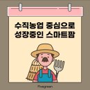 그린파이브 이미지