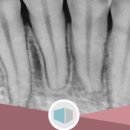 플러스원치과교정과치과의원 이미지
