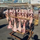 방어진활어센터 이미지