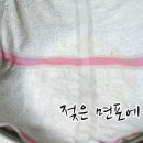 현미집