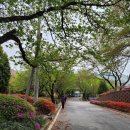 용인효사랑 | 용인요양원 용인효사랑 후기