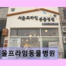 서울프라임동물병원