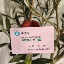구로 산후마사지 출장관리 후기