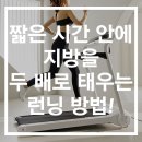 피트너피티스튜디오 이미지