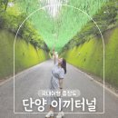단양-단양-02 | 단양 이끼터널 주차 당일치기 여행 코스