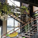 카페마카 이미지