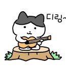 최김질께 이미지