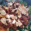 중앙2배수장 이미지