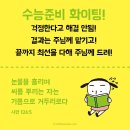갓피플 티스토리