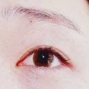 바슈롬 레이셀 멜로우 브라운을 국내최저가 판매!