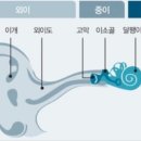 푸른이비인후과 - 천안시 동남구 서부대로 276 | 푸른이비인후과