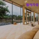 협재차경 별뉘 이미지