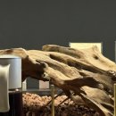 평양노래연습장 이미지