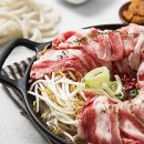 로켓볼케이노