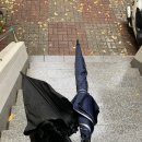 미주온누리약국 이미지