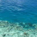 세계로어린이집 시설 경계 10미터 | 소수에게만 부여된 특권. 몰디브 가성비 리조트 '코코기리 아일랜드' - 여행후기 (1)