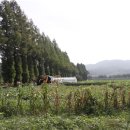 봉서3리 이미지