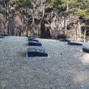 자연장지 이미지