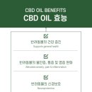 돕자몰