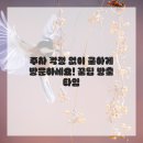 엘츠의원 이미지