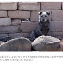 강원도 산불로 주택 401채가 불에 탔다 (중대본 공식 집계 현황) 이미지