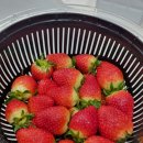 개신농장 이미지