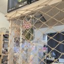 청원사료 | 청주수족관 피쉬갤러리 후기 충북아쿠리아리움 못지않은 희귀물고기까지