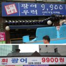 광어9900 이미지