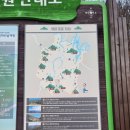 대전근교 가볼만한곳, 국립대전숲체원, 대전을 둘러싼 산들