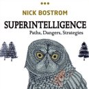 Superintelligence 이미지