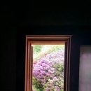 옛날옛적에 이미지