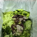 정진농장 이미지