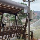 제1호 거점 동물원 &#39;청주동물원&#39; 동물 종류, 시설, 모노레일 예약 아이와 갈만한 곳 추천