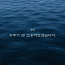 쉬이쉬 이미지