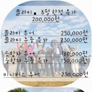 고모네손칼국수 이미지