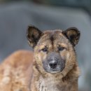 검산농장 이미지