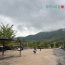 #포천자연마을 서울캠핑장 후기# 서울근교 가성비캠핑장#텐트없이 캠핑가는한 캠핑장
