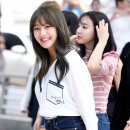 지효 카카오 검색결과