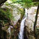 김천농협주유소 이미지