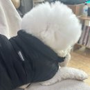 GS25송탄가곡리점 | 평택 송탄 네일 원네일 🤍 아이보리 시럽 컬러로 손톱 분위기 확 바뀐 날 ✨송북제2공영주차장 이용 추천...