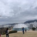 연 이미지