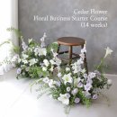 (11/26)핸드타이드 꽃다발 | 26년 3월 시더플라워스튜디오 창업반 모집 (14주 과정)