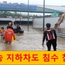 오송 티스토리