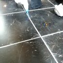 성원광택 이미지